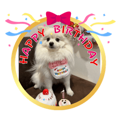 ayumi_20251026164739