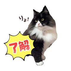 natsumi_20251024161156