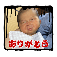 SHIHO_20251026185558