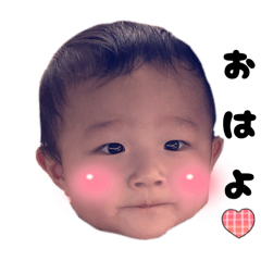 shicha_20251026185901