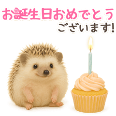 赤ちゃんアニマルのやさしい誕生日＆日常