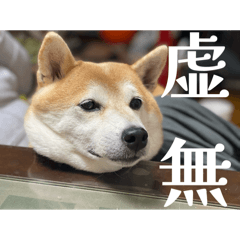 ayyyn_20251024190436