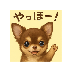 yamamotosan_20251024205500