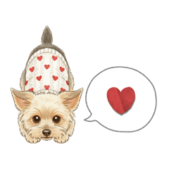 ヨークシャテリア プチ 秋冬 あいさつ 日常