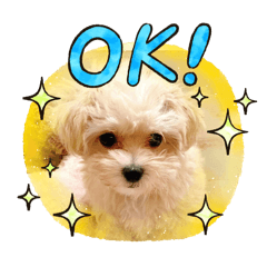 ラニーの記念スタンプ