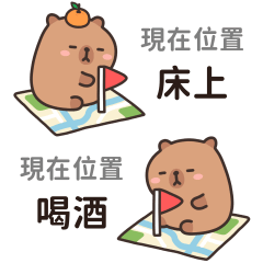 水豚君♡分享目前的位置