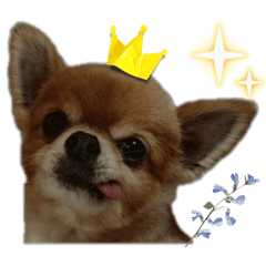 Haruka_20251026203028