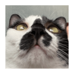 yuki_05.20__20251026211204