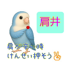 Luubird_20251025051532