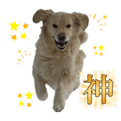 meimei_20251026185210