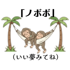 Kinako_20251026194108