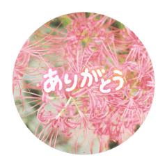 mikan_20251026212933