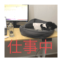 Sayuri_20251026110340