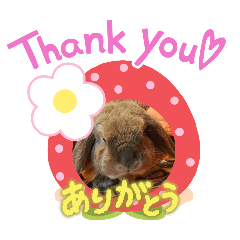 kurumi_20251026201107