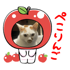 yumiii_20251026145621