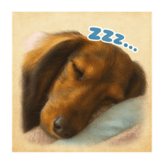 Chochan's everyday life