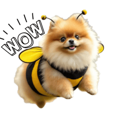 Pomeranian in a costume