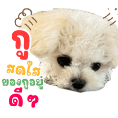 Littleb_20251024182924