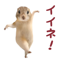*Hamster dancing at high speed!