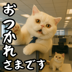 巨猫部長のブサカワ商事