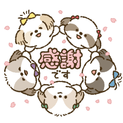 まるまるシーズーちゃんず（ていねい）