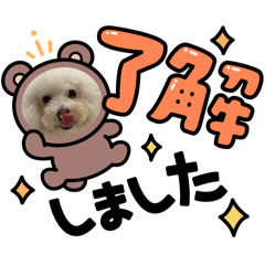 soratoyuzuki