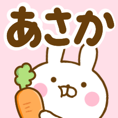 Rabbit Usahina asaka