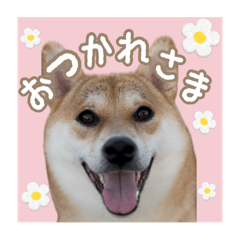 Seira_20251027083828