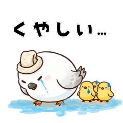 Chicks and Shimaenaga4