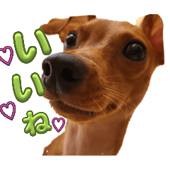 sachi_20251026142410