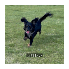 kumano_20251026151511