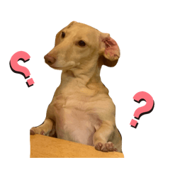 karin_20251027012858