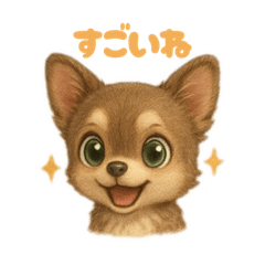 巧克力吉娃娃的可爱日常