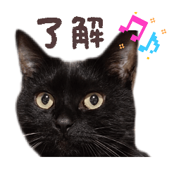 naafuukuu_20251026204708