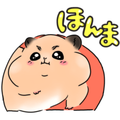 オスのゴールデンハムスター