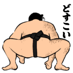 The daily life of a sumo wrestler.