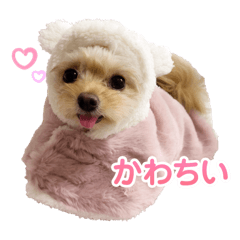 Ogamomo_20251027035717