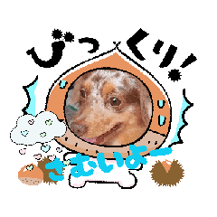 Sakura_20251027101559