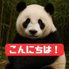 Realistic Animal Stickers Expressive