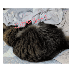 kasumi_20251027103553