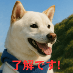 Look at this cute Shiba Inu!