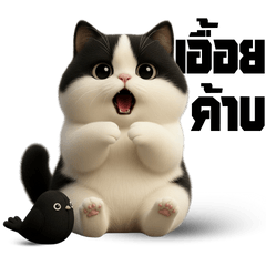 MyMandie's Cow Cat V1