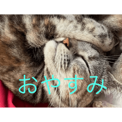 SHINZO_20251027121642