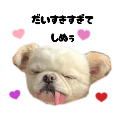 misaki_20251027123106