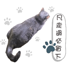 胖寶寶真可愛～5