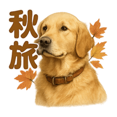 ゴールデンレトリバーの季節感じる秋ライン