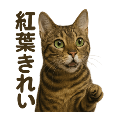 リアルなベンガル猫の季節感じる秋スタンプ