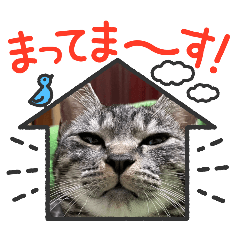 Motoko_20251027144115