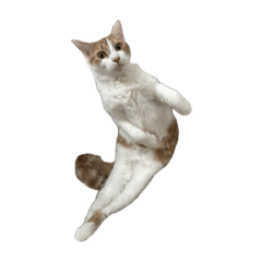 Mayakovsky_20251027144832