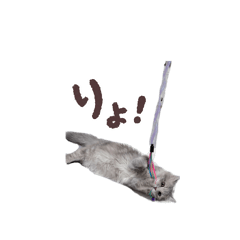 Miyuu_20251027143628